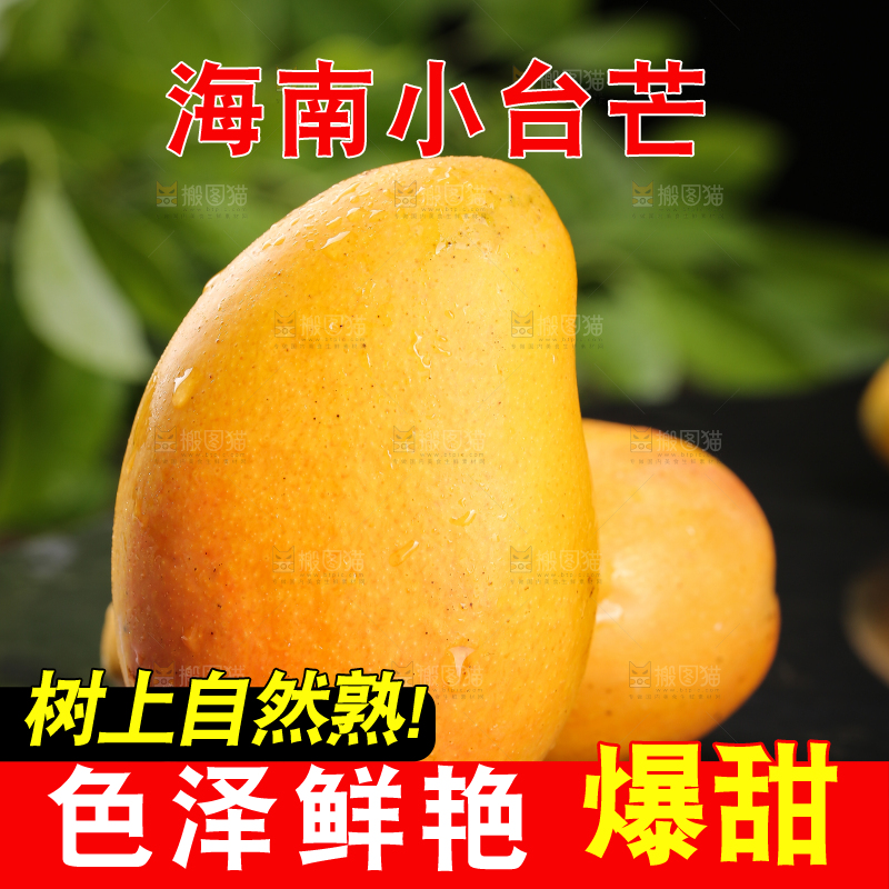 黑底上放着小台农芒果