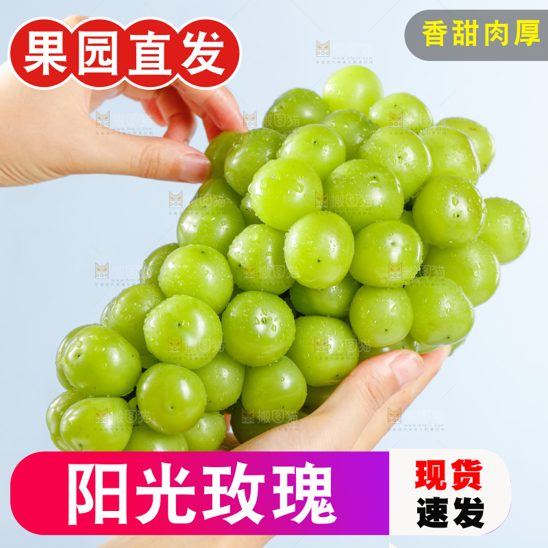 手拿着阳光玫瑰葡萄