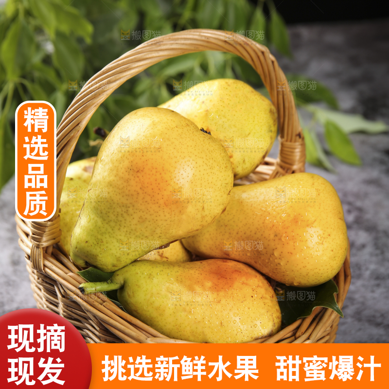 深底上放着一篮太婆梨