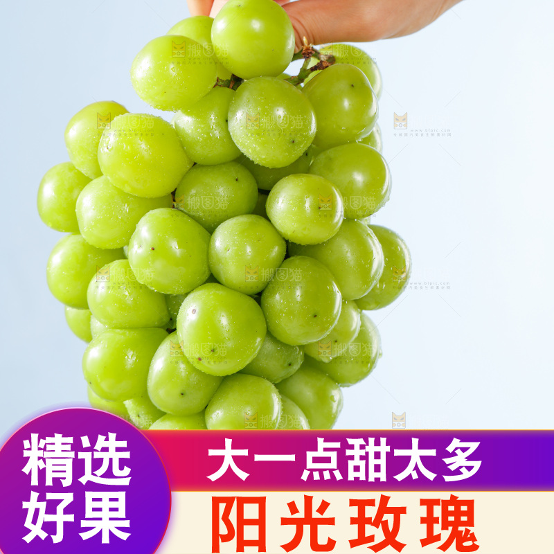 手提着阳光玫瑰青提