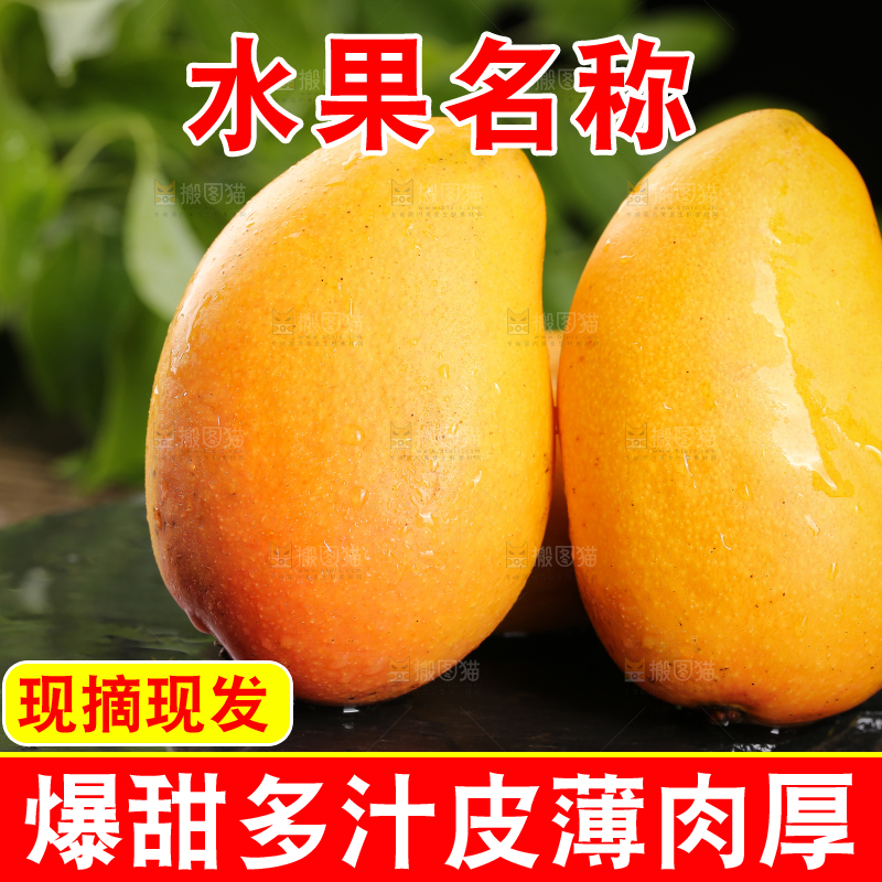 黑底上放着小台农芒果