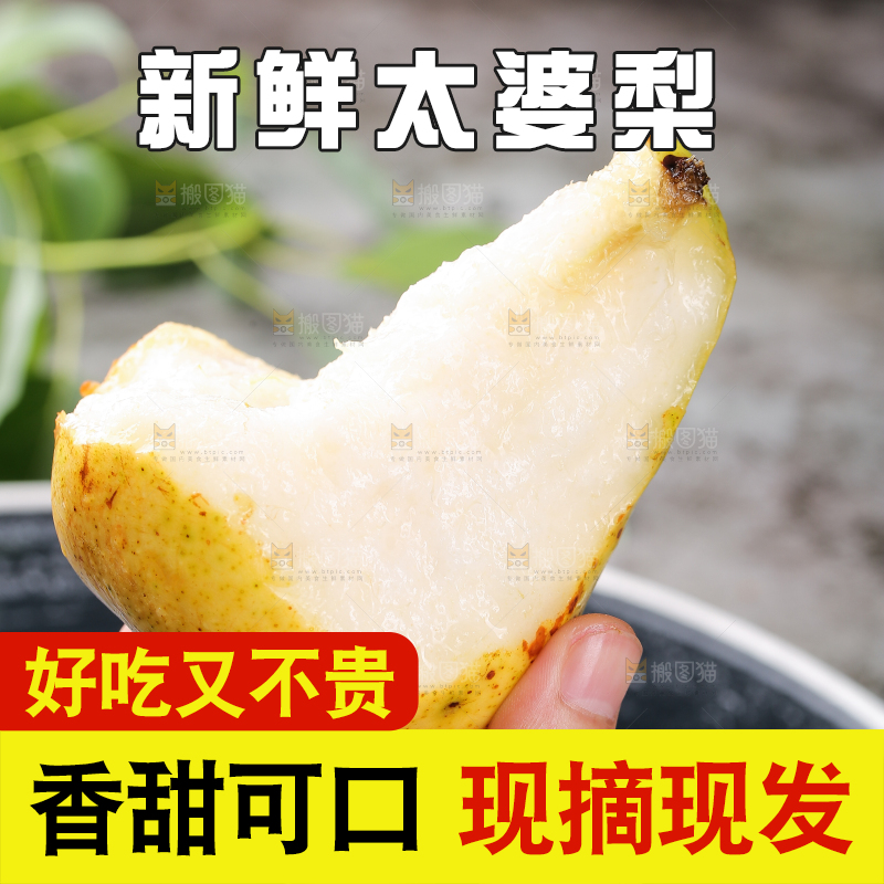 手上拿着山东太婆梨