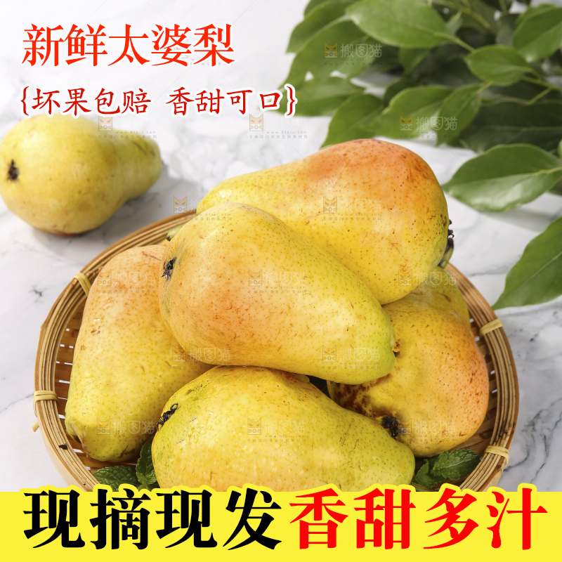 浅底上的一篮山东太婆梨