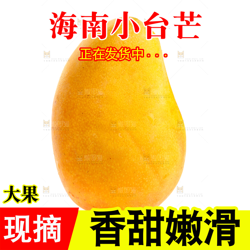 白底上的小台芒