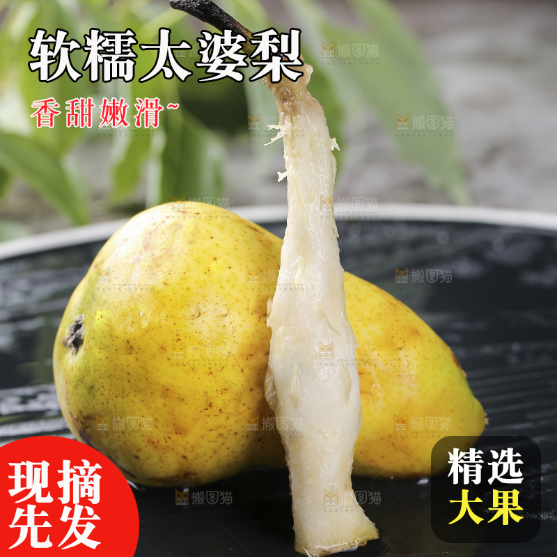 黑底上放着太婆梨果核