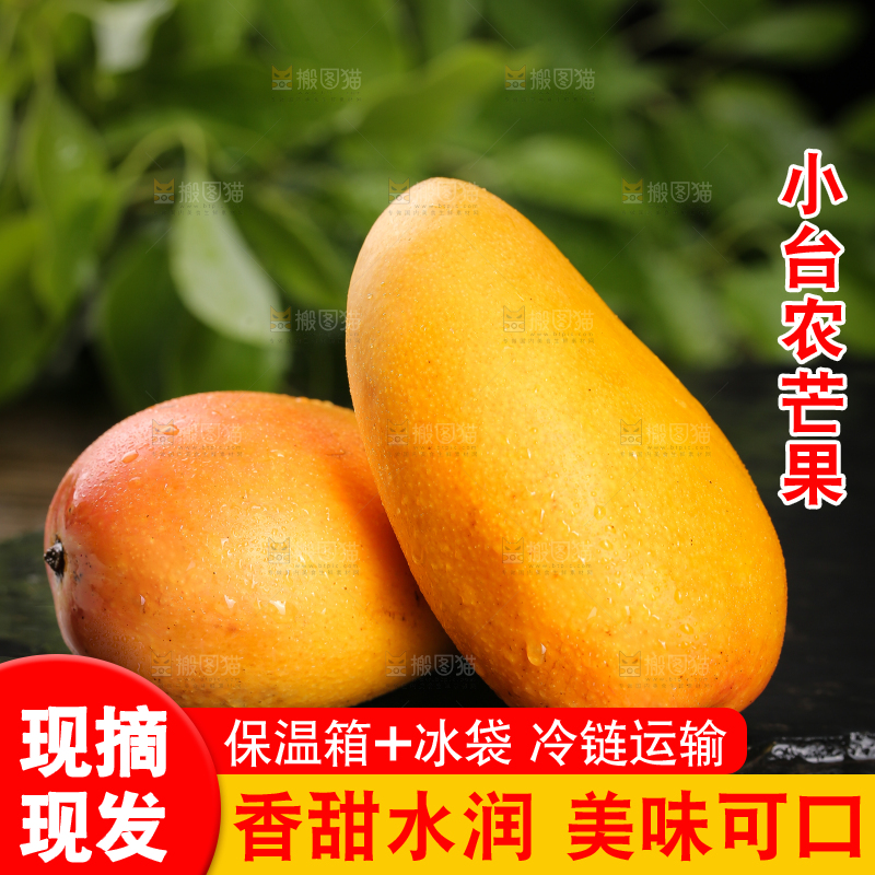 黑底上放着小台芒
