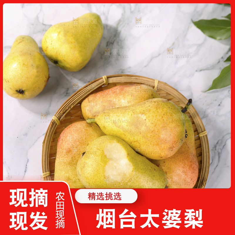 浅底上的一篮山东太婆梨