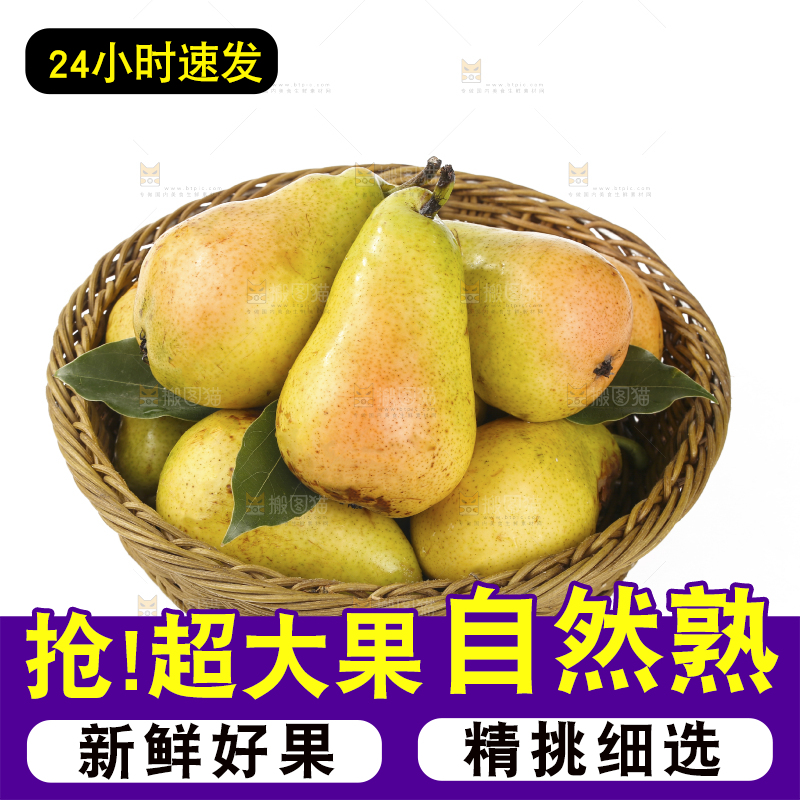 白底上的一篮太婆梨
