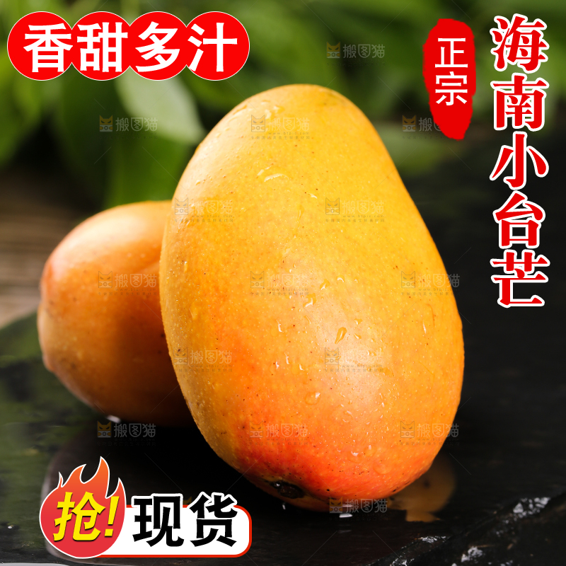 黑底上放着小台农芒果