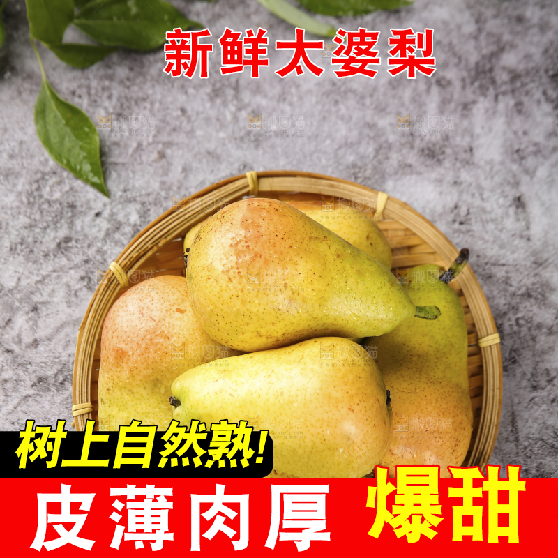 篮子里的山东太婆梨