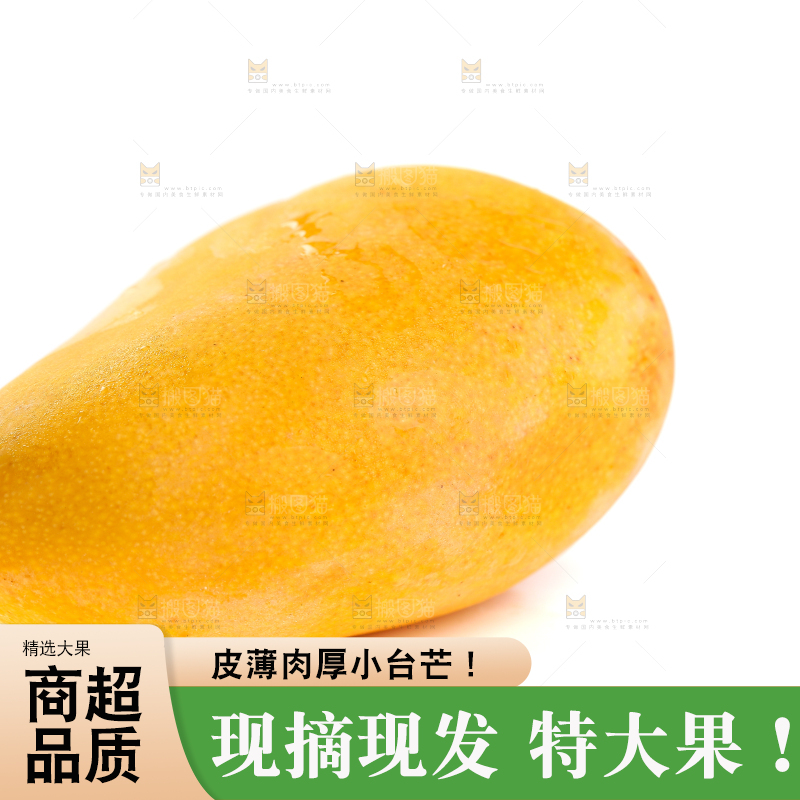 白底上的小台芒