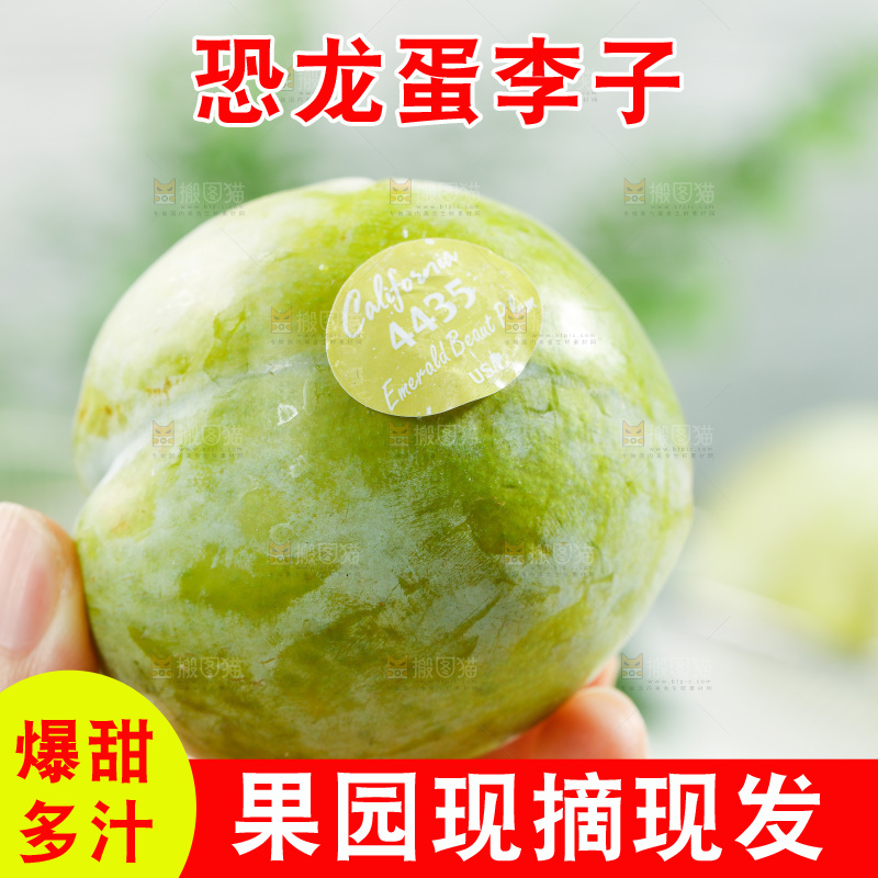 手里拿着新鲜恐龙蛋李