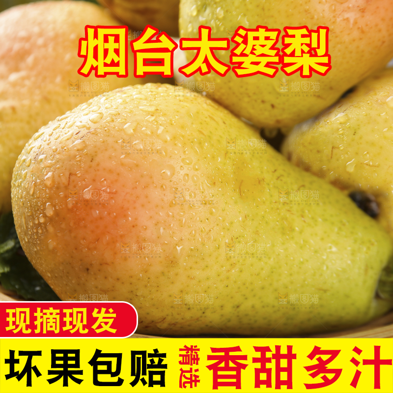 篮子里的山东太婆梨