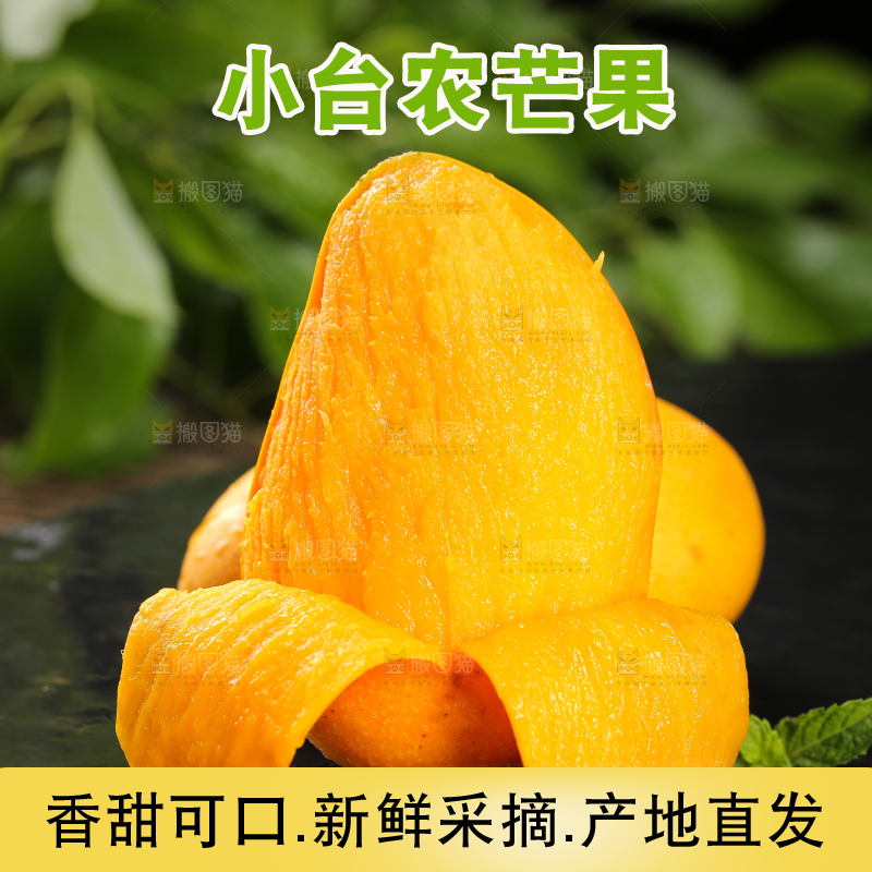 黑底上的新鲜小台芒