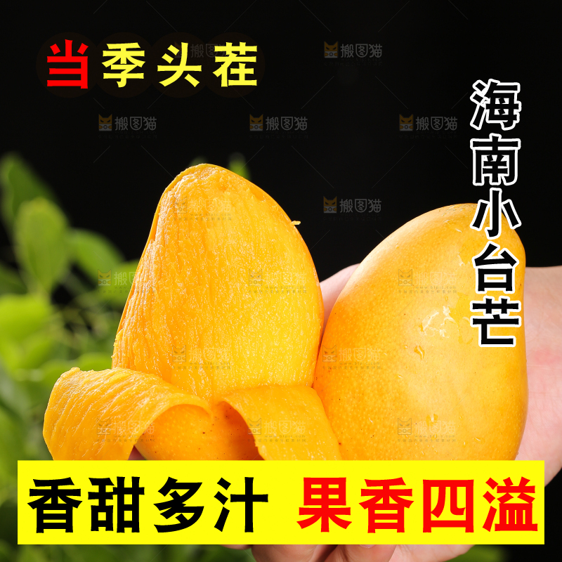 手里放着新鲜小台芒