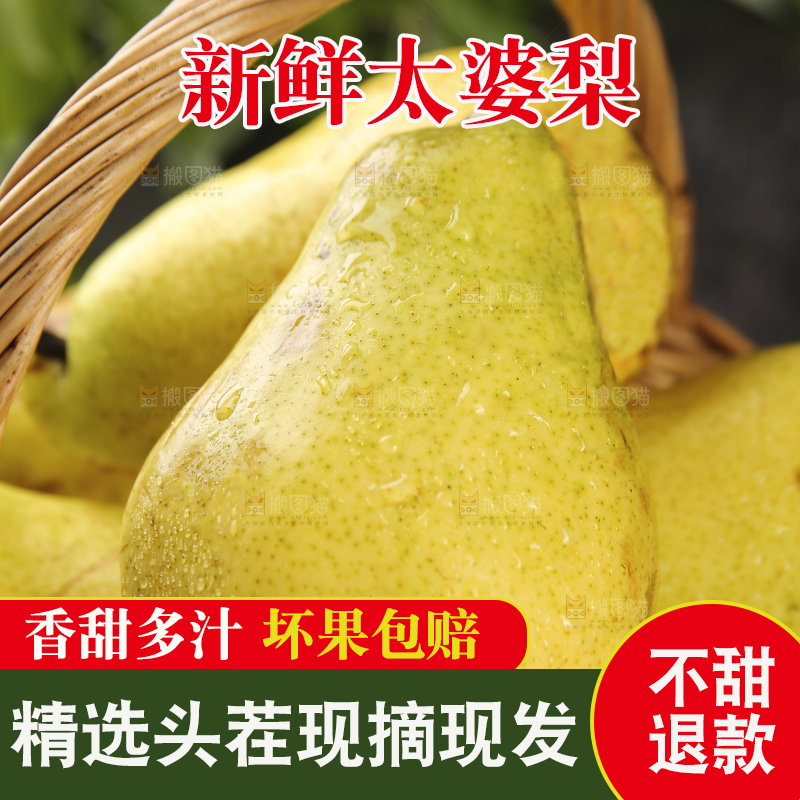 篮子里的山东太婆梨