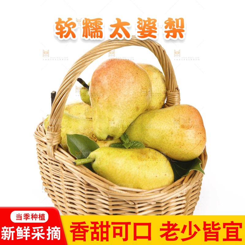 白底上的一篮烟台太婆梨