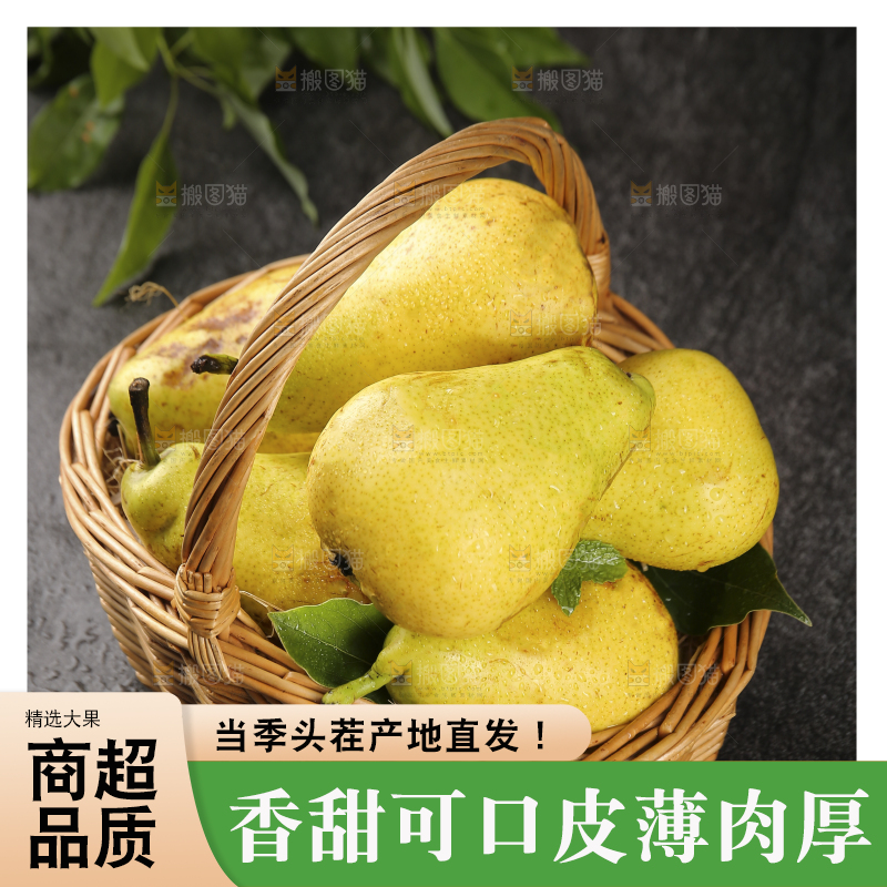 黑底上的一篮太婆梨