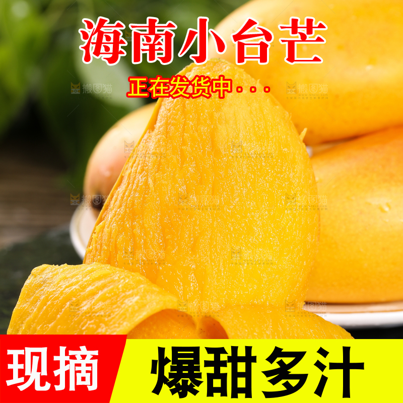 黑底上的小台芒