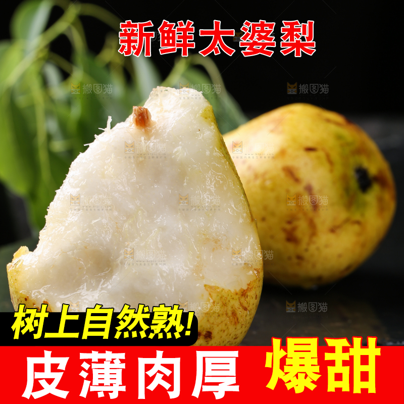 手上拿着山东太婆梨