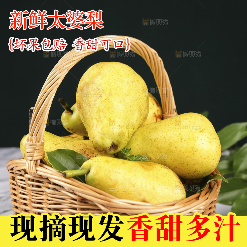 浅底上的一篮山东太婆梨