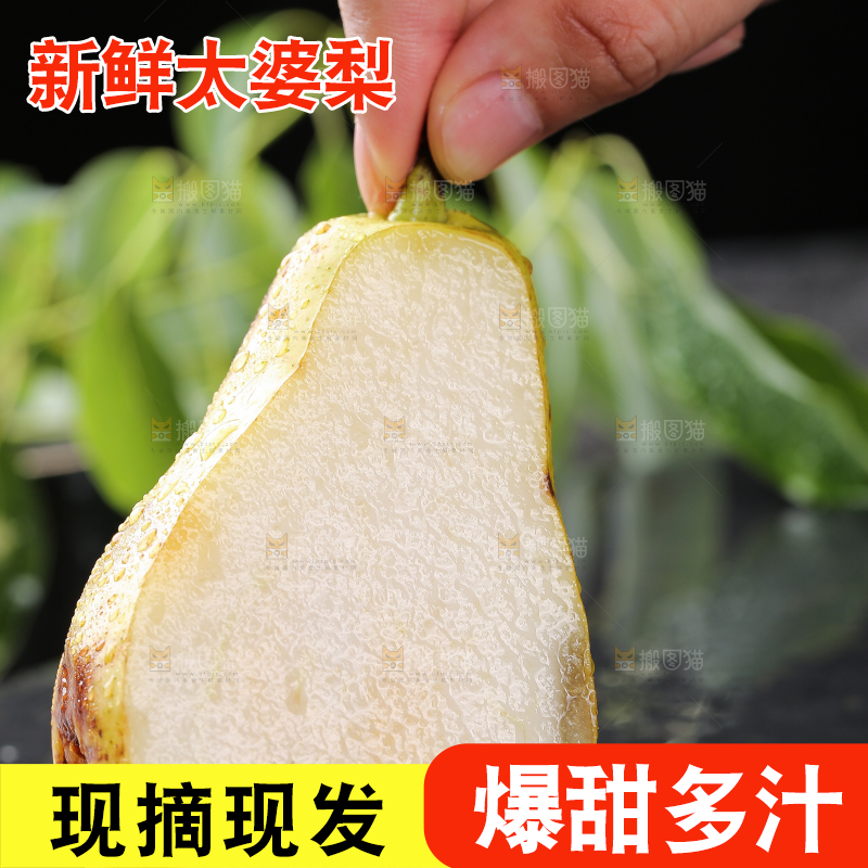 手拿着山东太婆梨