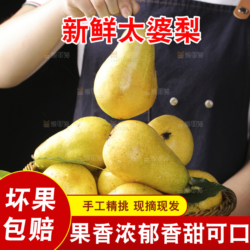 手里拿着烟台太婆梨