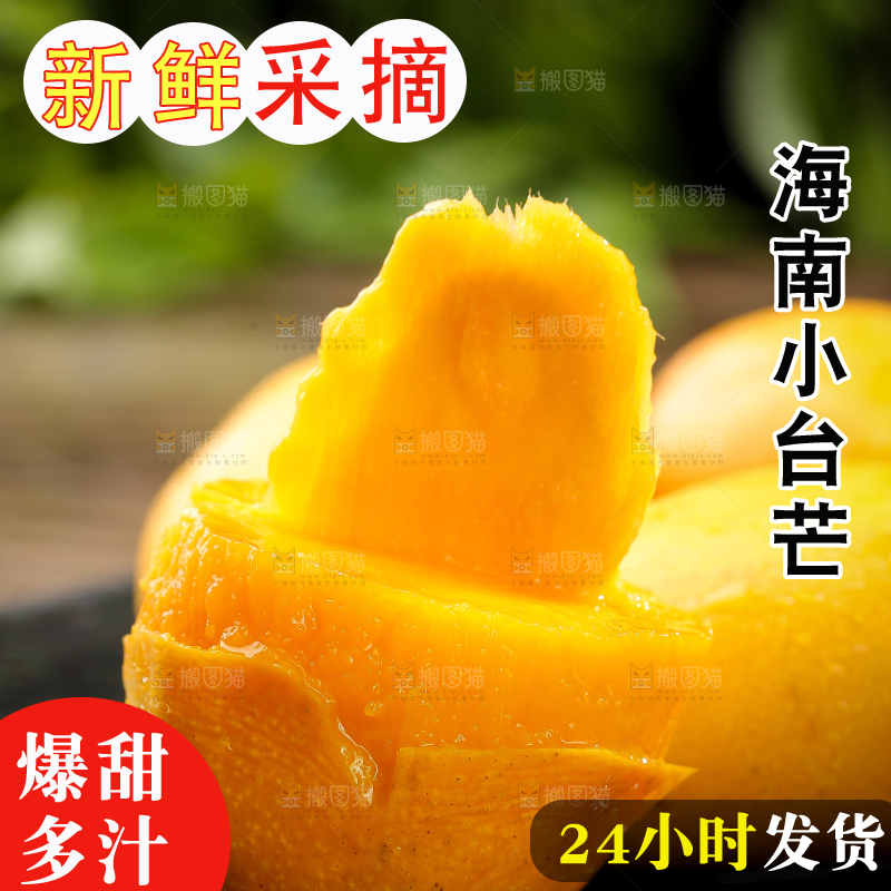 黑底上的新鲜小台芒