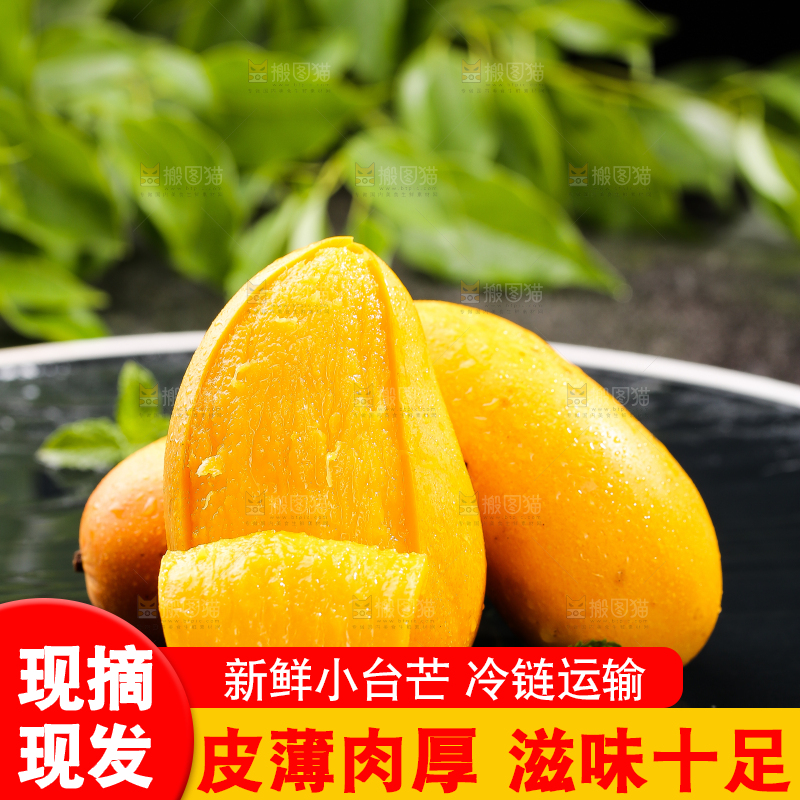 黑底上摆放着的台芒