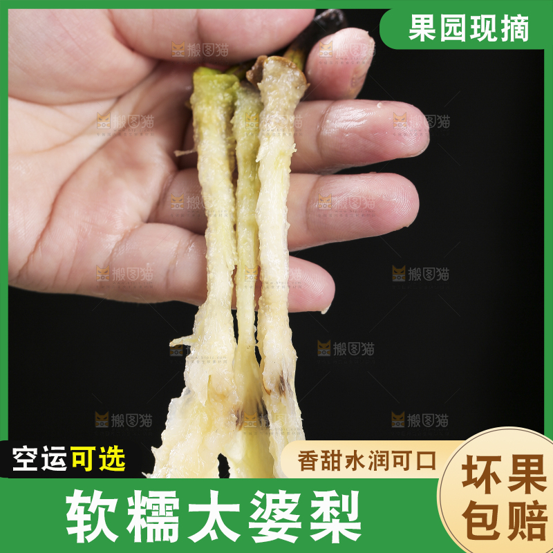黑底上放着新鲜太婆梨