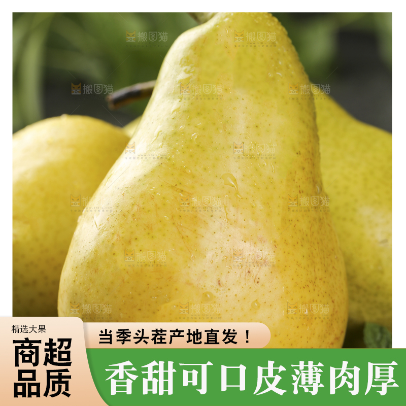 黑底上放着新鲜太婆梨