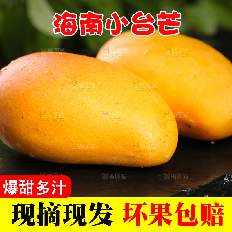 黑底上放着小台农芒果
