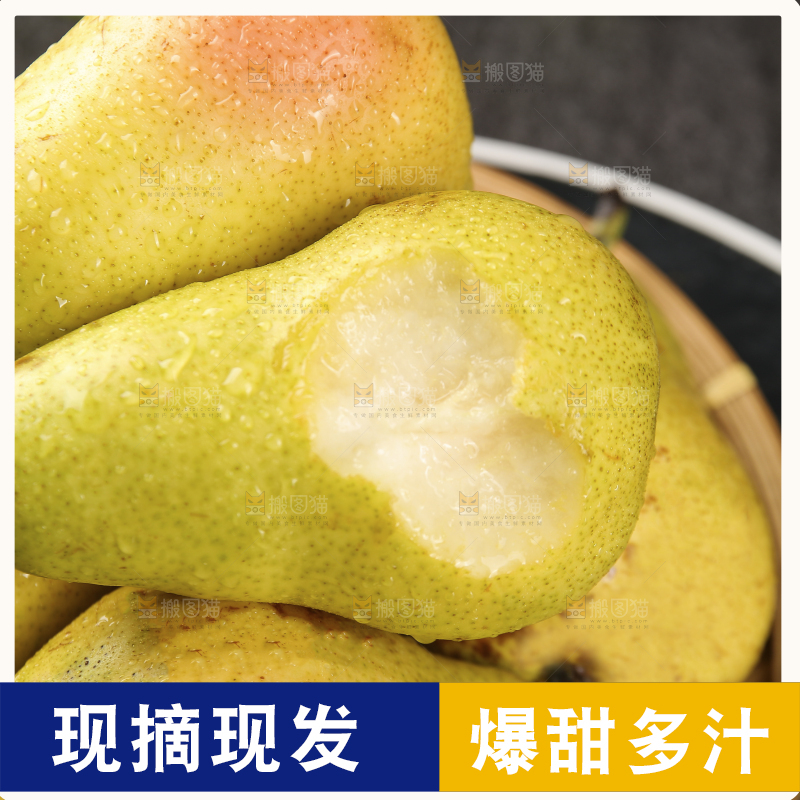 篮子里的山东太婆梨