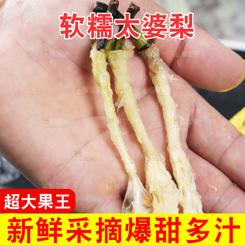 手上放着太婆梨果核