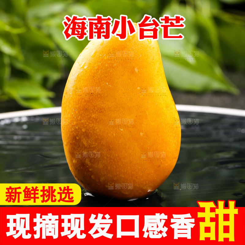 黑底上的小台芒