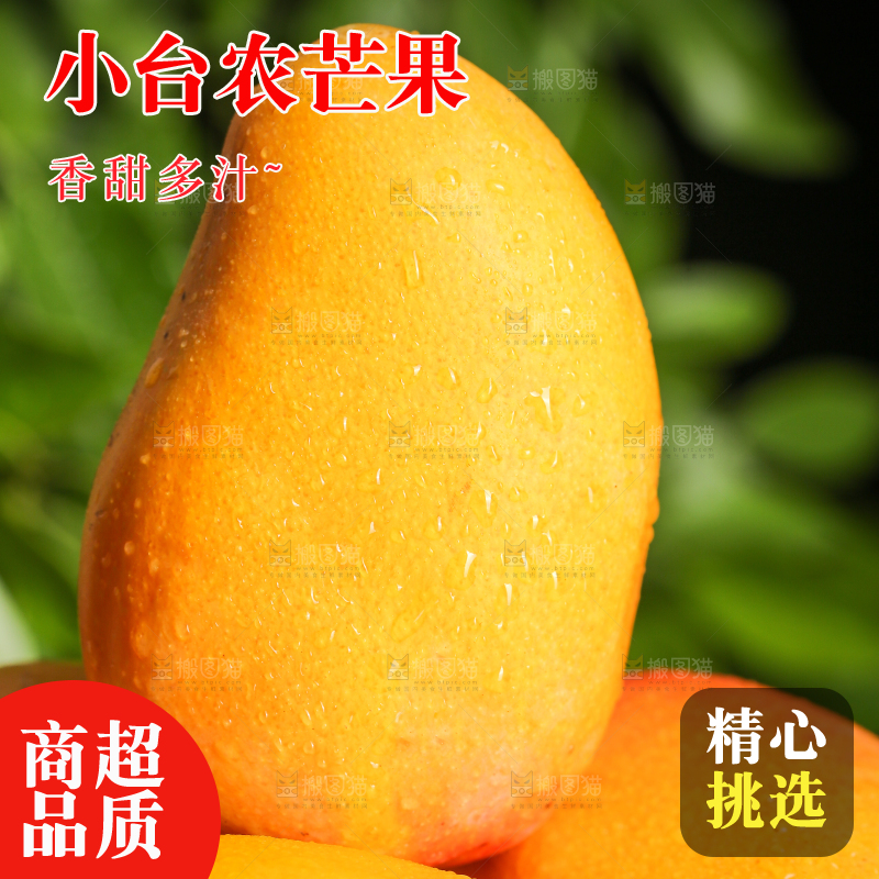 堆放着的小台农芒果