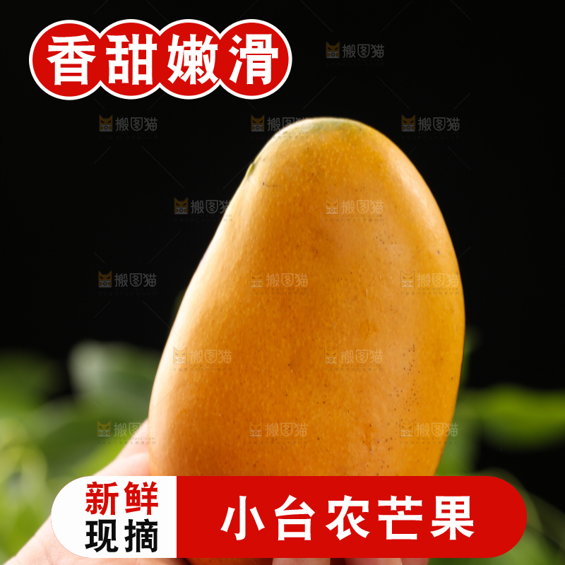 手里拿着新鲜台芒