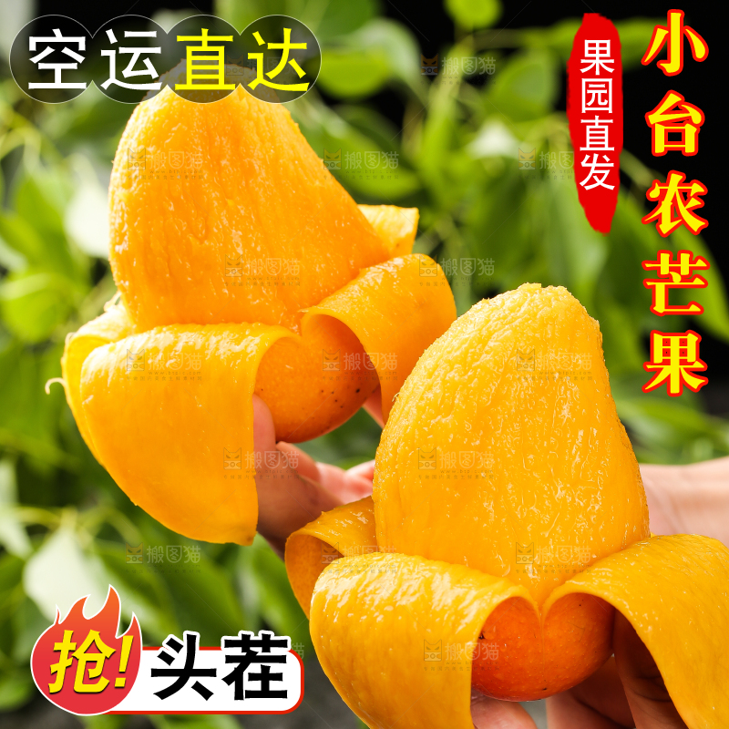 手拿着剥皮的小台芒