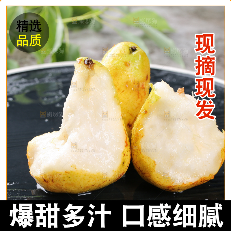 黑底上放着烟台太婆梨