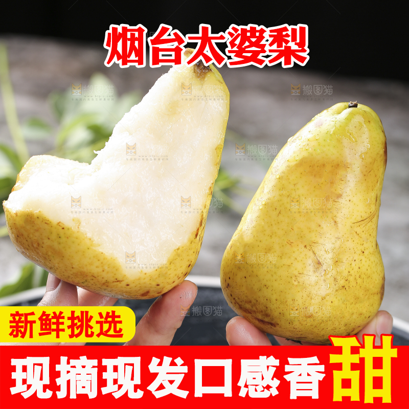 手上拿着山东太婆梨