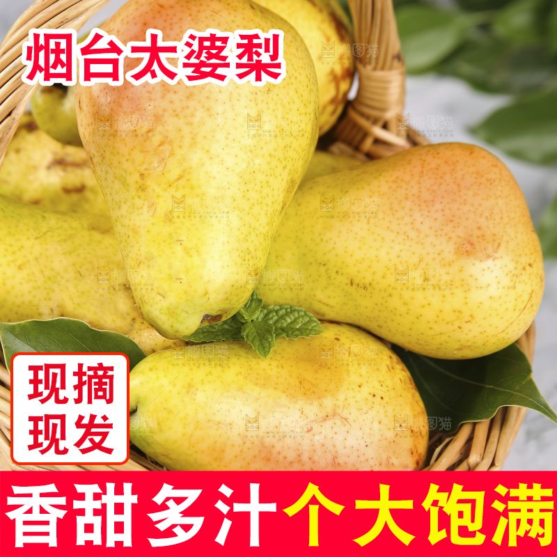 浅底上的一篮山东太婆梨