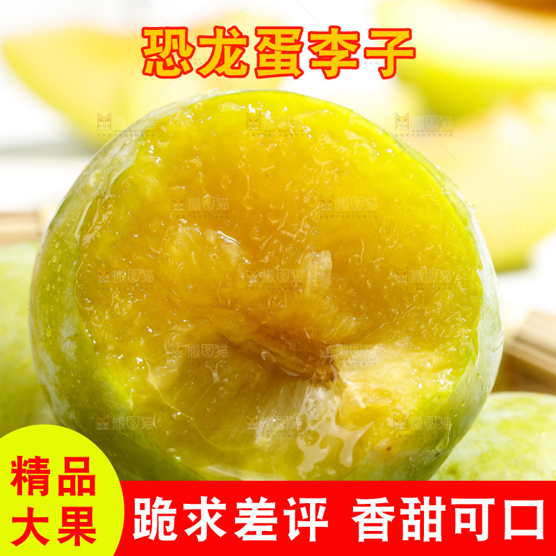 堆放着的新鲜恐龙蛋