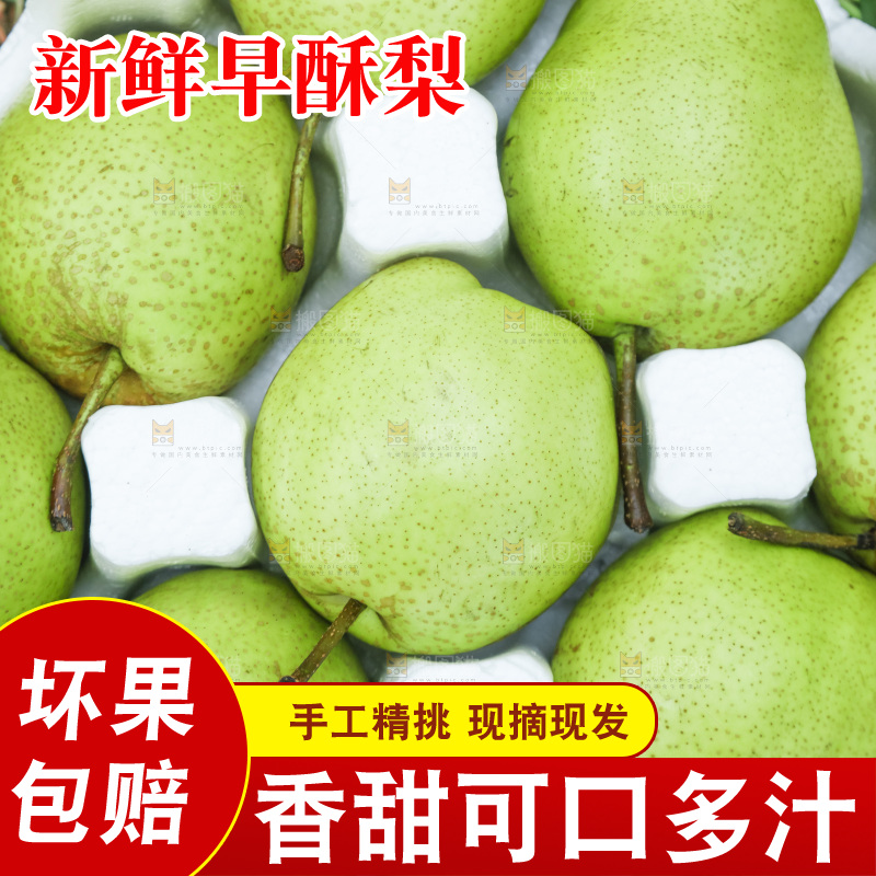 礼品箱里的早酥梨