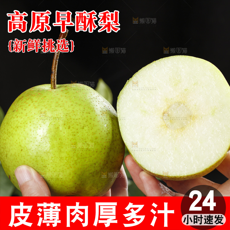 手里拿着陕西早酥梨