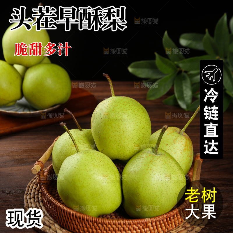 木底上放着一篮陕西早酥梨