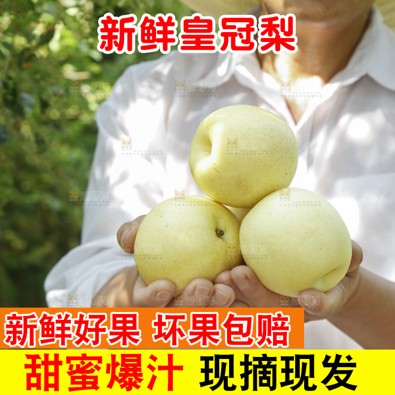 手里捧着新鲜皇冠梨