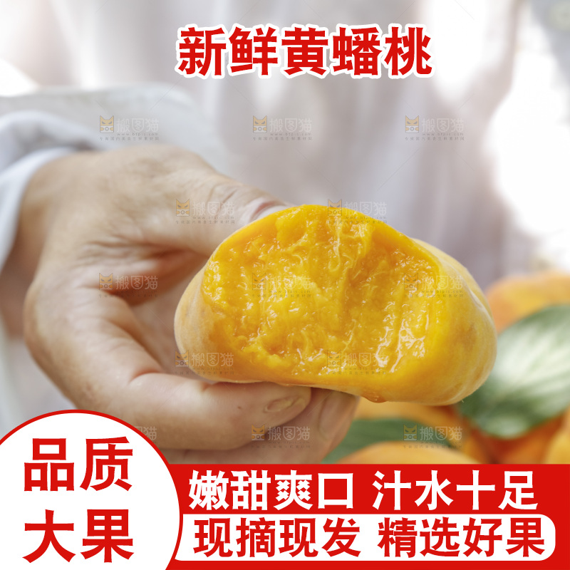 手里拿着新鲜黄蟠桃