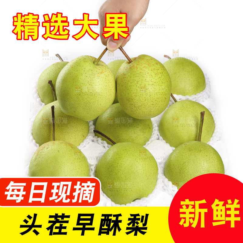 手里拿着新鲜早酥梨