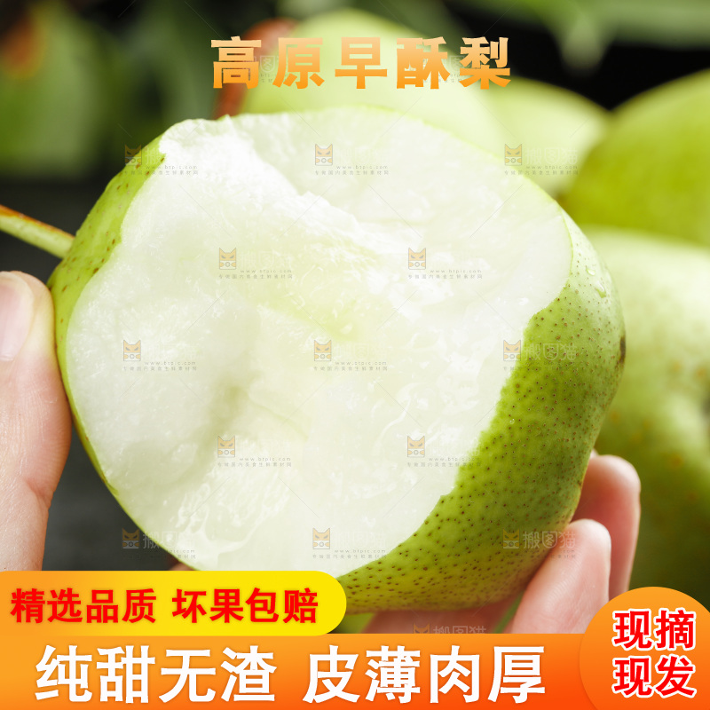 手里拿着新鲜早酥梨