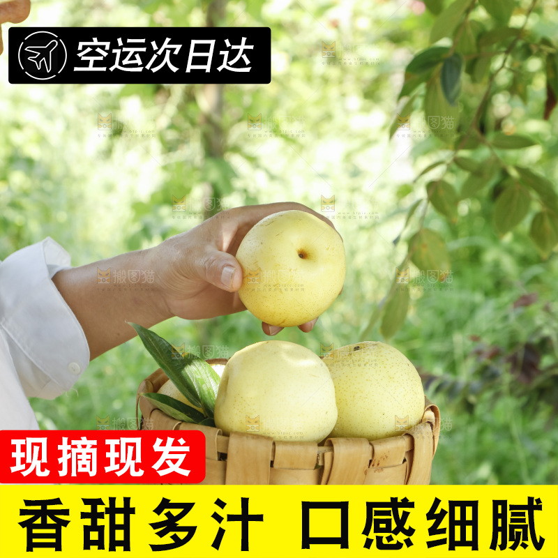 手里拿着一篮皇冠梨